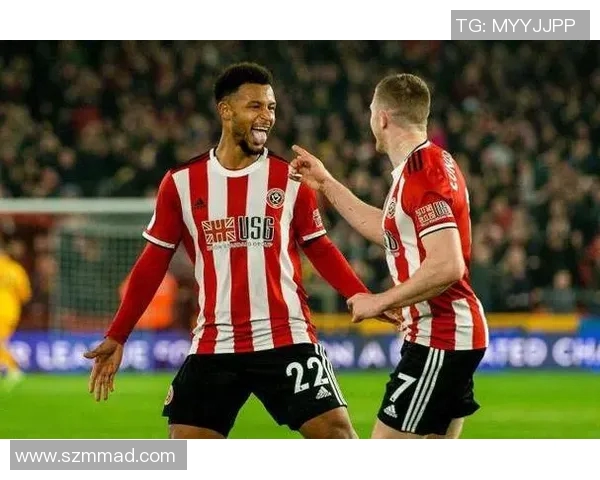 谢菲尔德联对阵狼队的比赛预测与分析深度解析 谢菲尔德联对阵狼队的比赛预测与分析深度解析