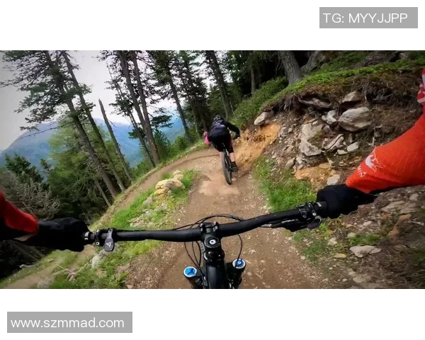 武汉极限运动队与深圳极限运动队赛后复盘分析及比赛节奏探讨 武汉极限运动队与深圳极限运动队赛后复盘分析及比赛节奏探讨