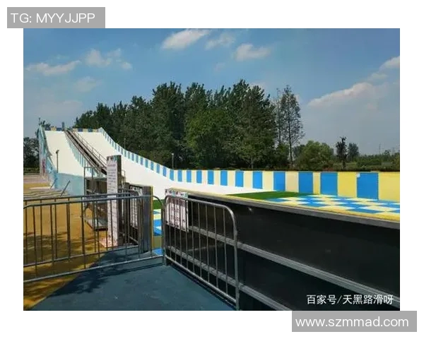 深圳极限运动队协作表现分析及其对团队成绩的影响研究