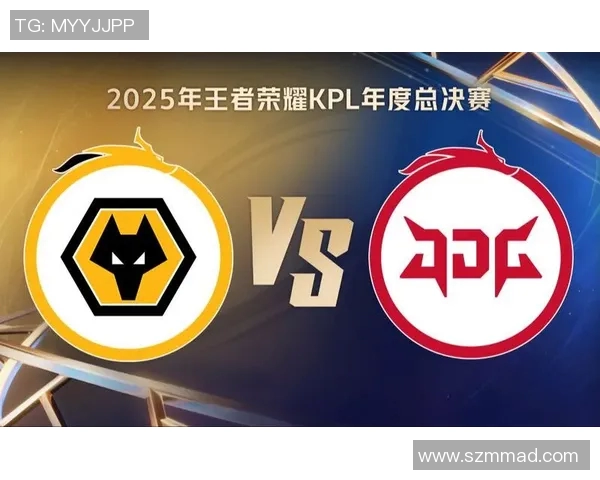 王者荣耀深度解析JDG战队的战术转型与成功之路