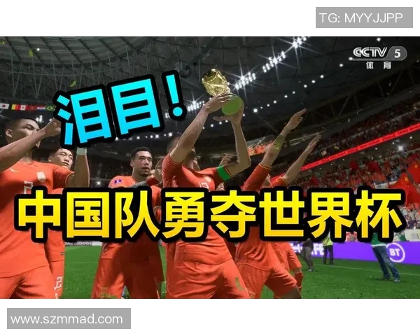 世界杯决赛激战正酣 足球巅峰对决揭示冠军之路与未来发展趋势