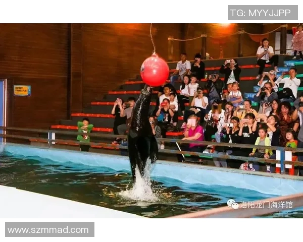 时尚与舒适并存 潜水泳装让你畅游海洋尽享自由与自信