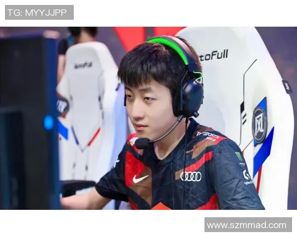 TES战队的崛起之路与职业联赛的辉煌成就分析