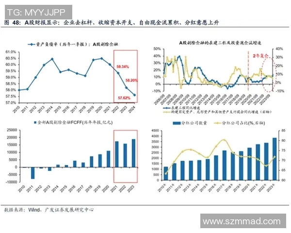 南京滑板队的成功运营模式与发展策略深度解析