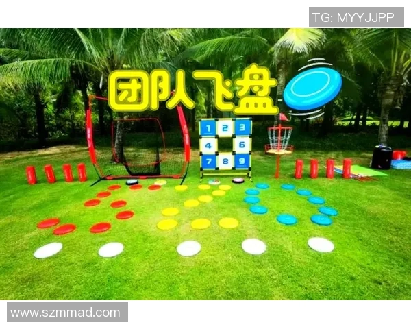 飞盘灵活性排行榜揭晓深圳飞盘队荣获第四名成就斐然
