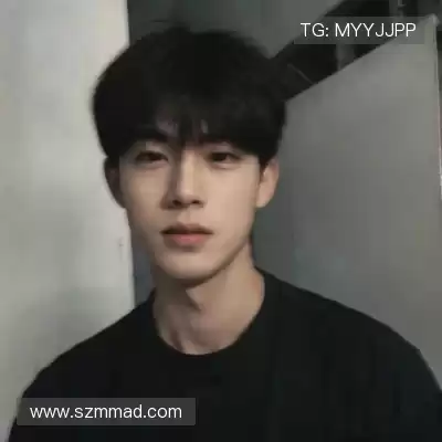 段俪剑